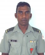 Hassan Habeeb Hassan Habeeb